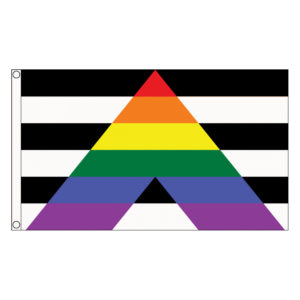 buy straight ally lgbt pride 5' flag online