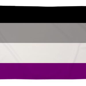 Asexual (5ft by 3ft) Premium Pride Flag