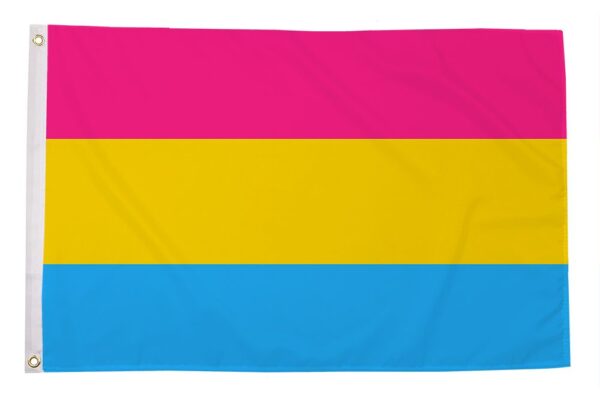 Pansexual (5ft by 3ft) Premium Pride Flag - THE PRIDE SHOP®