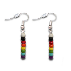 Straight Ally Rainbow Heishi Stone Drop Earrings