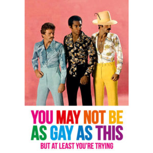 You May Not Be As Gay As This Fridge Magnet