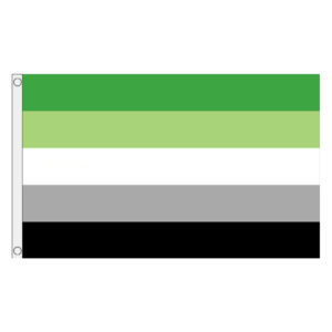 Buy Aromantic lgbt pride 5' flag online
