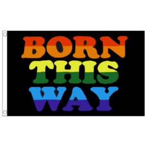 buy born this way lgbt pride 5' flag online