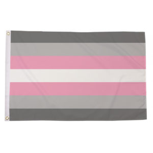 buy demigirl lgbt pride 5' flag online