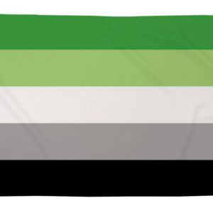 Aromantic (5ft by 3ft) Premium Pride Flag