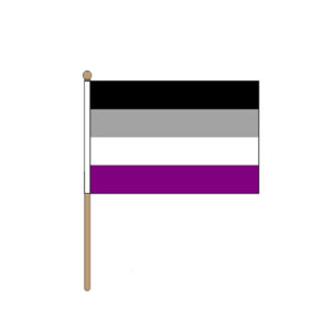 Asexual Handheld Pride Flag (22.5cm x 15cm)