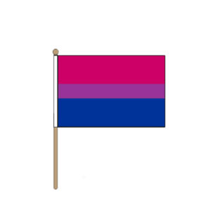 Bisexual Handheld Pride Flag (22.5cm x 15cm)