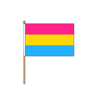 Pansexual Handheld Pride Flag (22.5cm x 15cm)