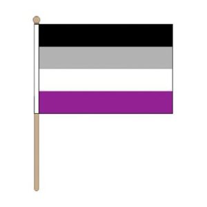 asexual hand held pride flag