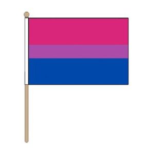 bisexual handheld pride flag