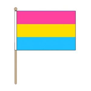 pansexual hand held pride flag