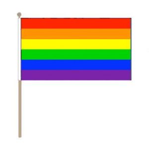 Gay Pride Rainbow Handheld Pride Flag (22.5cm x 15cm)