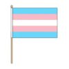 transgender hand held pride flag