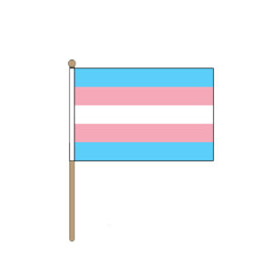 Transgender Handheld Pride Flag (22.5cm x 15cm)