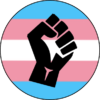 Trans protest badge for sale