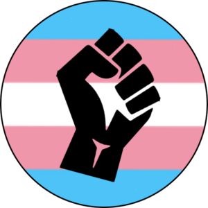 Trans protest badge for sale