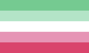 What are the colours of the abrosexual flag?