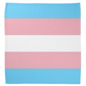 Transgender Pride Flag Bandana