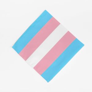 Transgender Pride Bandana