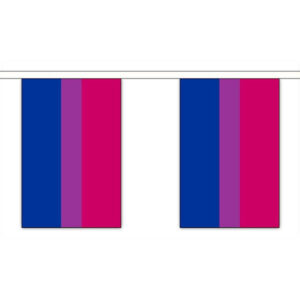 Bi Pride Rectangle Bunting 3 metres
