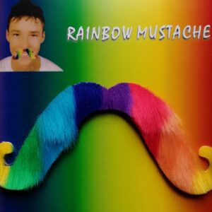 Gay Pride Stick On Rainbow Moustache