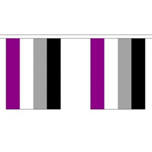 Asexual Pride Rectangle Bunting 3 metres