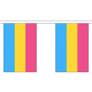 Pansexual Pride Triangle Bunting 12 metres