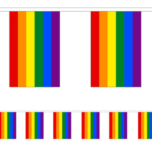 Gay Pride Rainbow Rectangle Bunting 3 metres