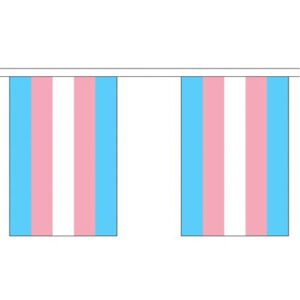Transgender Pride Rectangle Bunting 3 metres