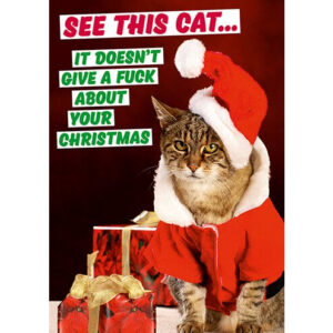 This Cat Doesn't Give A F**K About Your Christmas Card