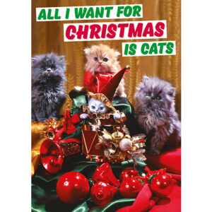 All I Want For Christmas Is Cats Card