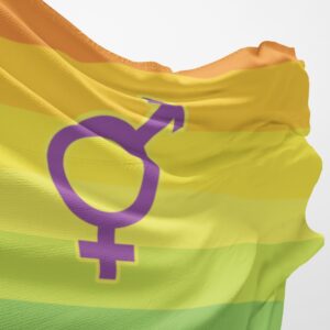 Hermaphrodite Pride Flag (5ft x 3ft) Premium Flag