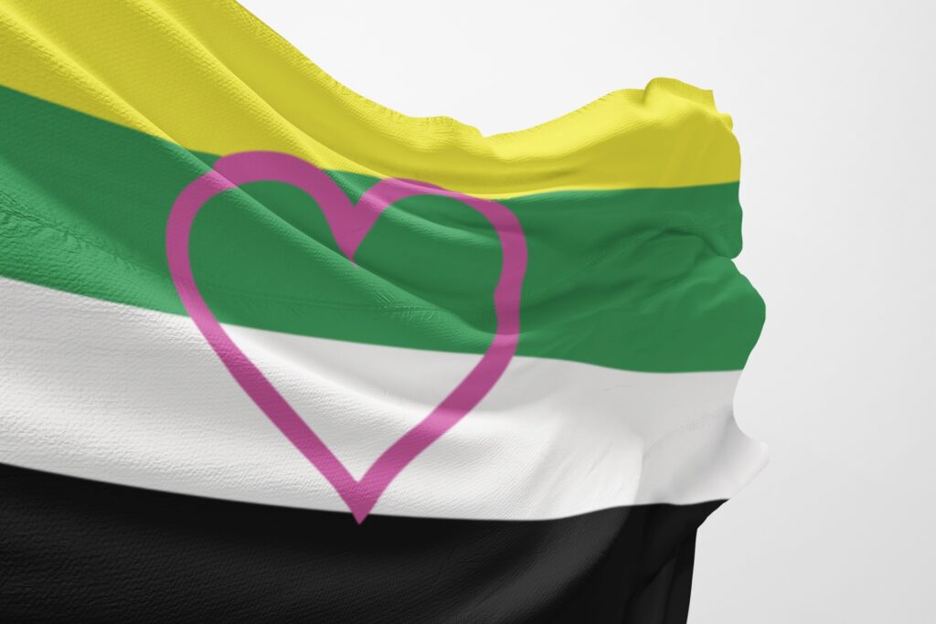 a Skoliosexual flag with a heart on it