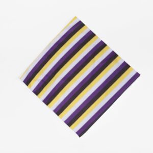 Non Binary Pride Flag Bandana