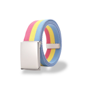 Pansexual Pride Canvas Belt