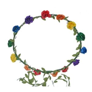 Gay Pride Delicate Flower Crown