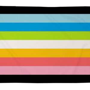Queer Flag (5ft by 3ft ) Premium Pride Flag
