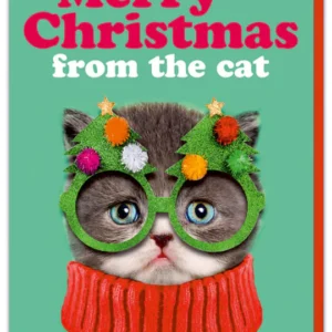Merry Christmas From The Cat