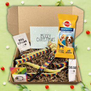 LGBTQ+ Dog Lovers Christmas Gift Box