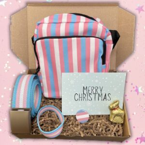 Transgender Pride Christmas Gift Box