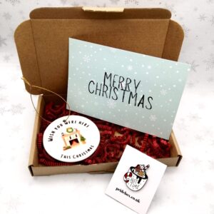 Mini Wish You Were Here | Christmas Pride Box