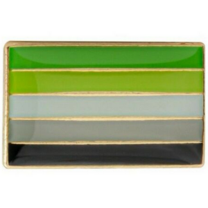 Aromantic Rectangle Flag Pin Badge