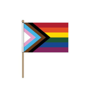 Progress Handheld Pride Flag (22.5cm x 15cm)