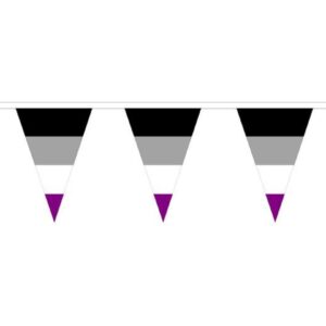 Asexual Pride Triangle Bunting 12 metres