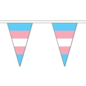 Transgender Pride Triangle Bunting 12 metres