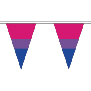 Bi Pride Triangle Bunting 12 metres