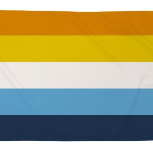 AroAce Pride Flag