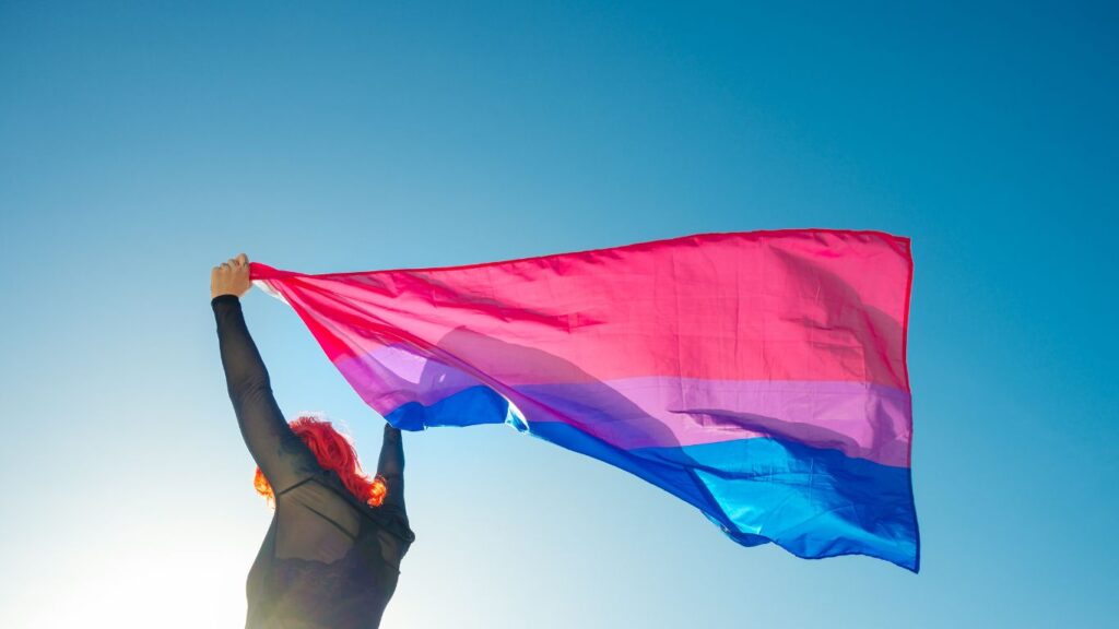This is what the bisexual or bi flag looks like