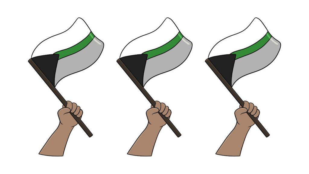 This is what the demiromantic flag looks like